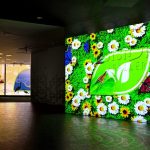 ENVision Gallery Promotes Green Living and Taking Care of our Environment