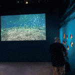 Screen Goo Max Contrast at Lee Kong Chian Natural History Museum
