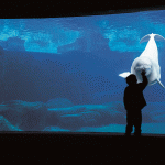 vancouver-aquarium