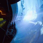 Screen Goo High Contrast Coated Immersive Virtual Reality Ride at Sensorama, Brazil
